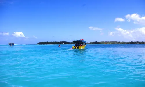 Totof Tours | Blue Bay Mauritius