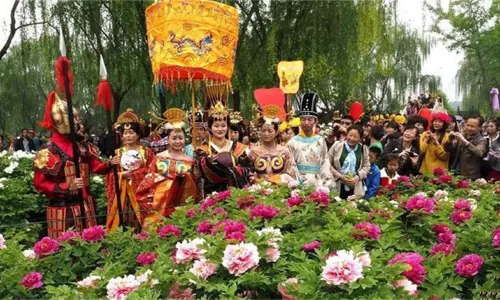 Beijing Peony Viewing