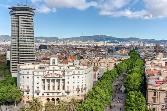 Top 10 Things To Do in Barcelona