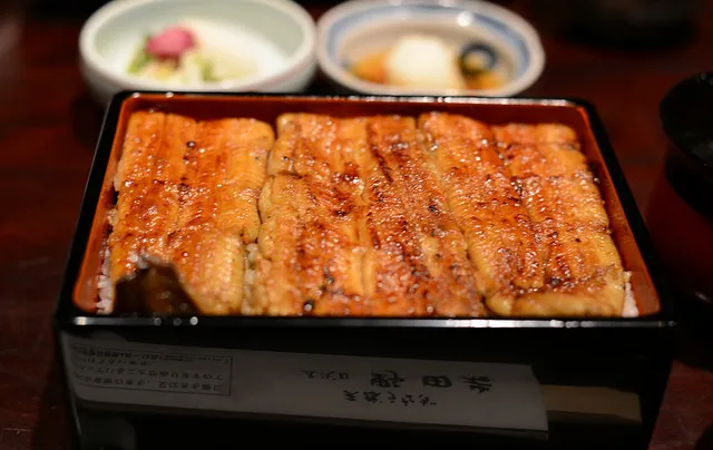  11 Top Eel Rice Restaurants in Tokyo 2025