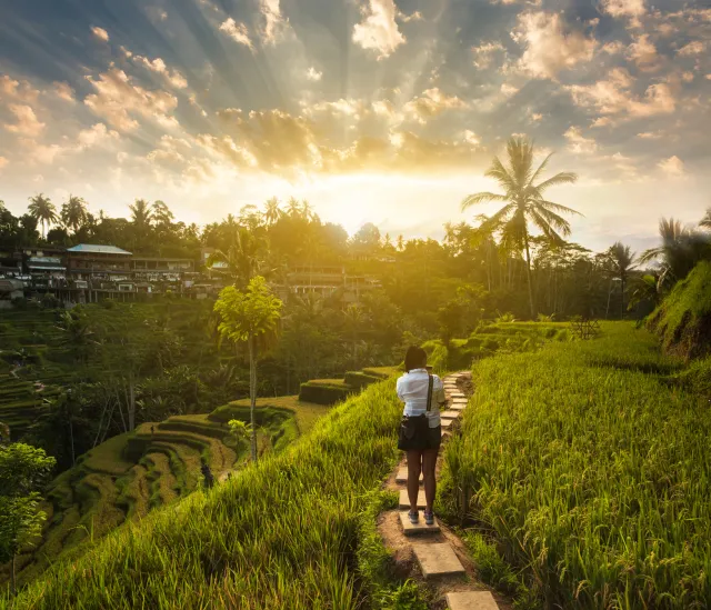 What To Do In Ubud With The Kids: 3 Easy Treks For The Family