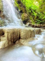 Namtok Bua Tong-Nam Phu Chet Si National Park