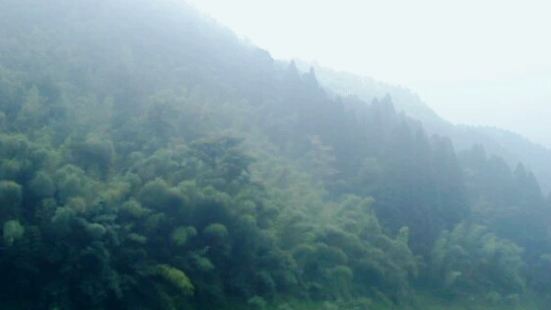 珠海最高山，有人说能远眺澳门，有些不靠谱，倒是能看见大桥。山