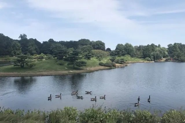 The Complete Guide to Chicago Botanic Garden