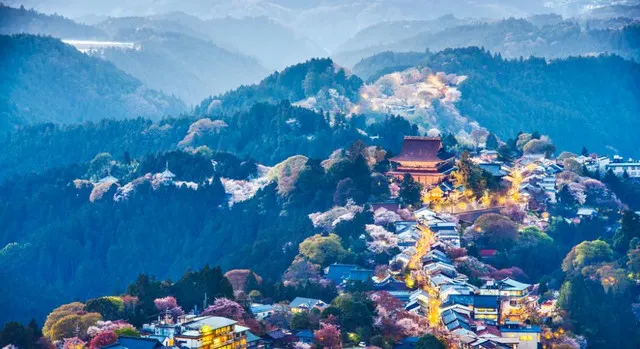 In Nara, The Old Capital of Japan, You Can Experience The True Japan and Appreciate The Cherry Blossoming As Well As The Maples!