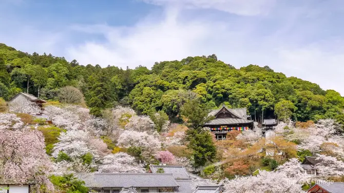 2_Kamakura Hasedera