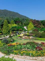 アチムゴヨ樹木園