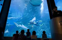 海洋世界海之中道