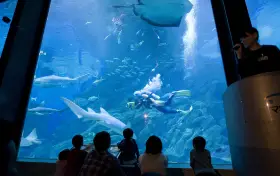 海洋世界海之中道