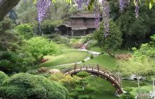 The Huntington Library, Art Museum, and Botanical Gardens