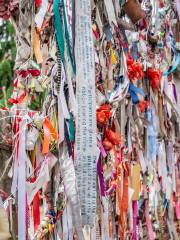 Crossbones Graveyard