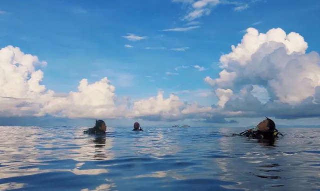 Swim in God's Aquarium. Its Actually Very Easy to Choose The Right Island for You to go Diving! 