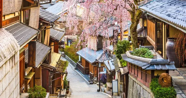 In Nara, The Old Capital of Japan, You Can Experience The True Japan and Appreciate The Cherry Blossoming As Well As The Maples!