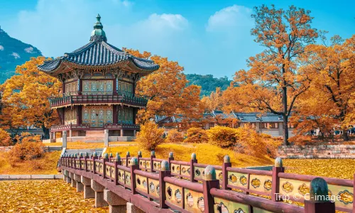 Korean Drama Filming Locations Tour in Seoul