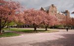 University of Washington