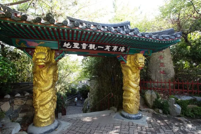 【海東龍宮寺】海東龍宮寺周邊景點、美食懶人包