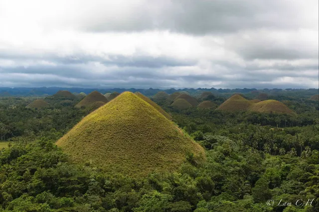 6 Must-Dos on Bohol Island