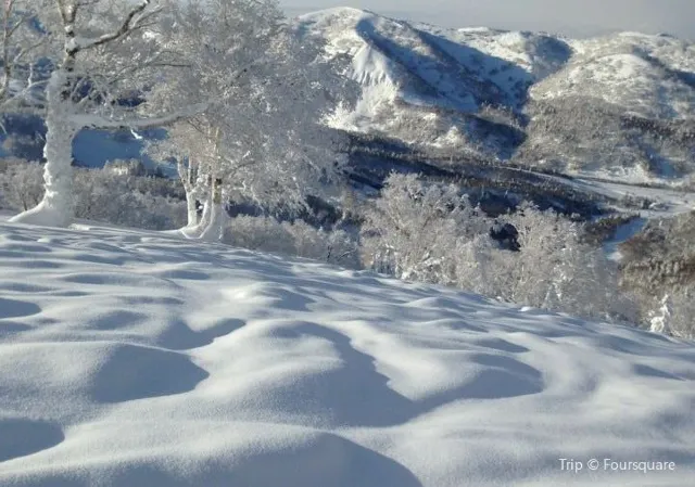 【北海道滑雪】8間北海道滑雪場超詳細攻略