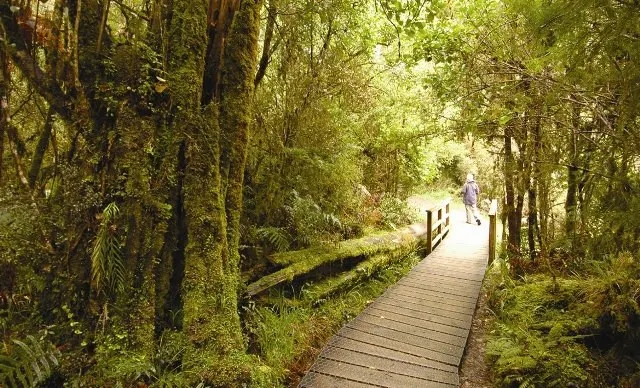 Ascend Into The Sky and Back Down to The Ground. Climb Along Ice and Explore A Cave. Hike on Foot and Enjoy The Charm of The Fox Glacier