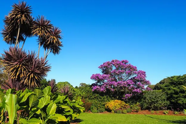 Best Cycling Treks In and Around Sydney For The Adventurous