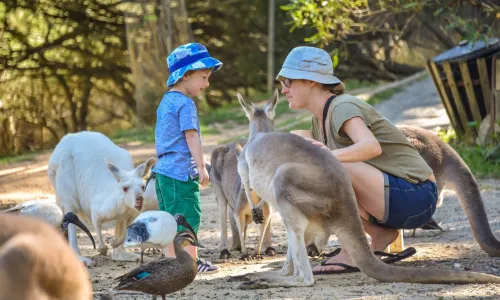 Adelaide Zoo