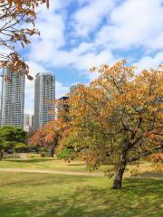 Hamarikyu Gardens