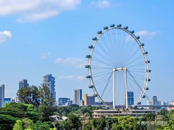 Ruota panoramica di Singapore