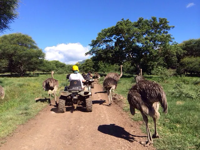 8 Must-do Things in Mauritius