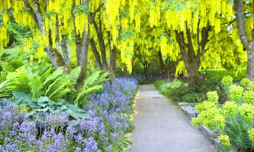 VanDusen Botanical Garden