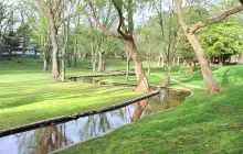 北海道大學植物園