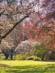 Hagley Park North