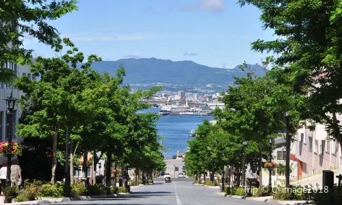 Mount Hakodate