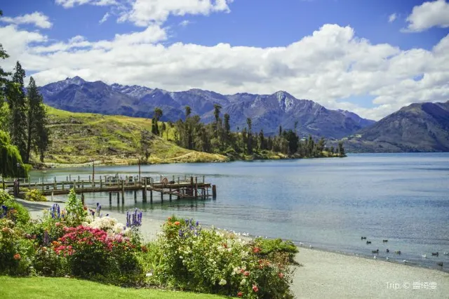 Embracing farm life: Niche Travel Choices in New Zealand