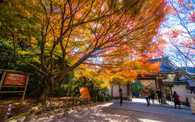 Kinkakuji Temple in Kyoto: Simply Breathtaking