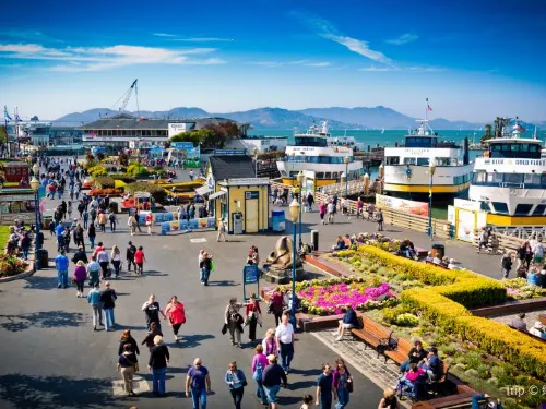 8 Things To Do with Parents in San Francisco