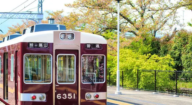 In Nara, The Old Capital of Japan, You Can Experience The True Japan and Appreciate The Cherry Blossoming As Well As The Maples!