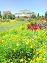 Lincoln Park Conservatory