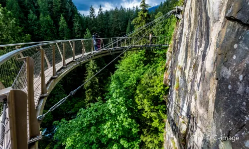 Capilano Suspension Bridge Park