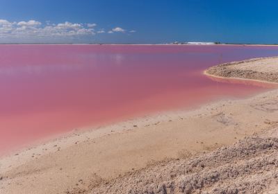 The Coloradas