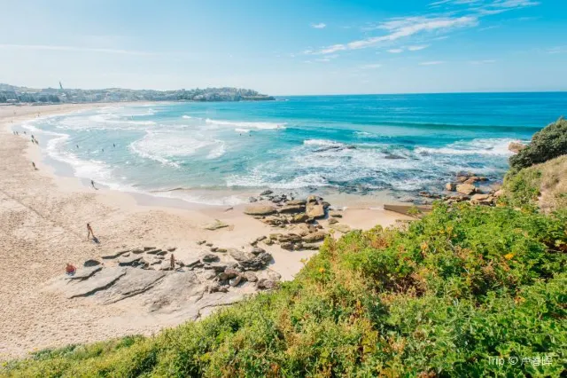 10 Top Rated Beaches in Sydney 2025