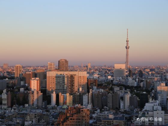 Bunkyo Civic Center observation lounge