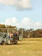 Werribee Open Range Zoo