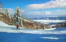 富良野滑雪場