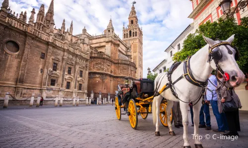 La Giralda