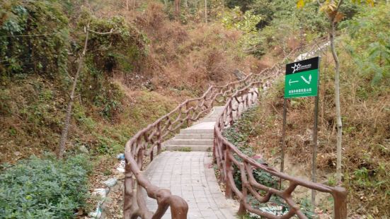 凤凰山城里的一座山提供了一个森林公园，偶尔来爬爬山，休闲休闲