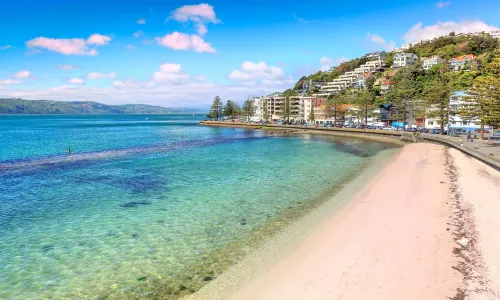 Oriental Bay