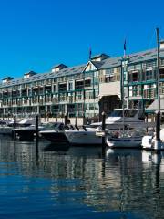 Finger Wharf