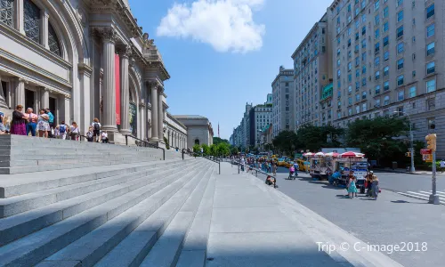 The Metropolitan Museum of Art