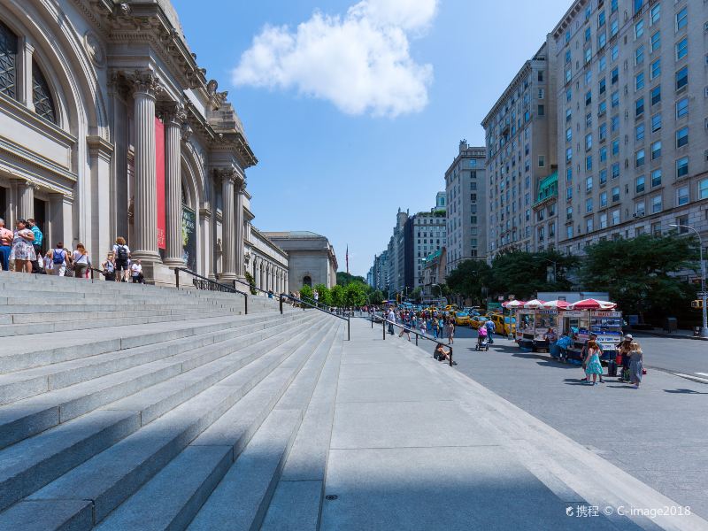 The Metropolitan Museum of Art