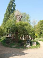 Abney Park Cemetery